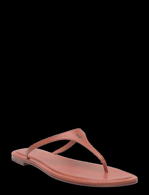 Polo Ralph Lauren | Polo Play Calfskin Thong Sandal | 39