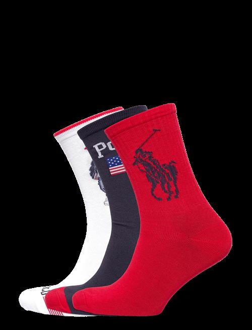 Polo Ralph Lauren | Bci Cotton-Psprng Gft B-Crw-3Pk | 38-42