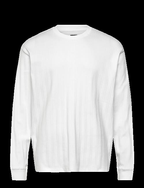 Jack & Jones | Jprblakole Ls Drop Needle Tee Styd Aw24 | L
