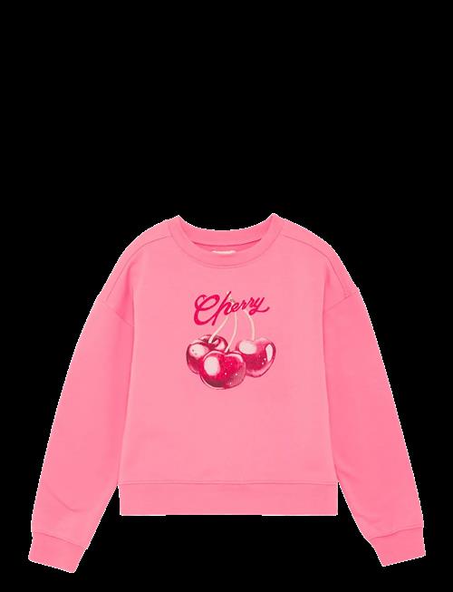 Creamie | Sweatshirt | 110