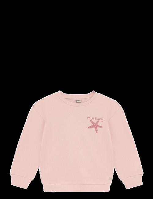 Daily 7 | Sweater Backprint | 98