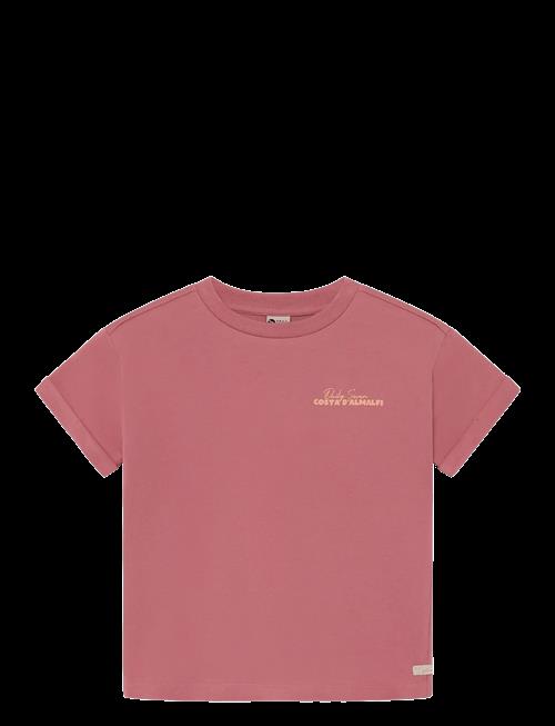 Daily 7 | T-Shirt Backprint | 104
