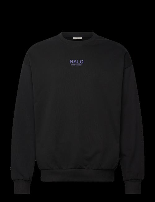 HALO | Halo Graphic Boxy Crew | XS