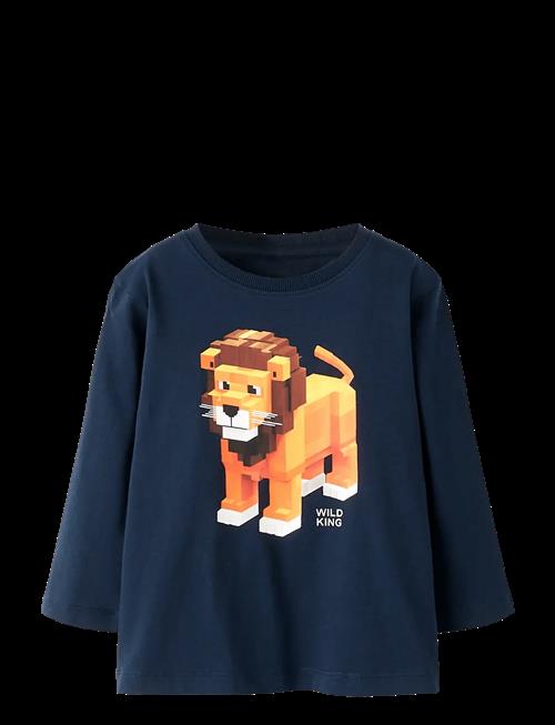 name it | Nmmsalan Ls Nreg Top | 98