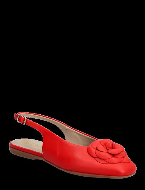 Wonders | Pepa 40 | 39