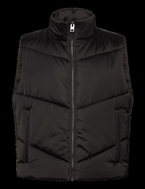 HUGO | Berolino2531 | L