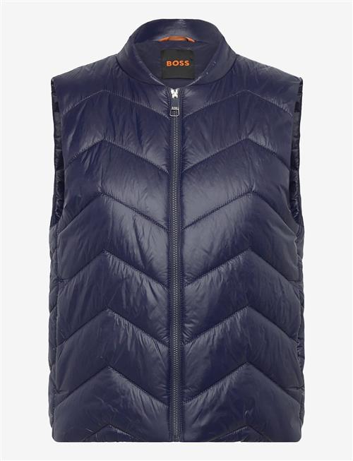 BOSS | C_Palattini | 36