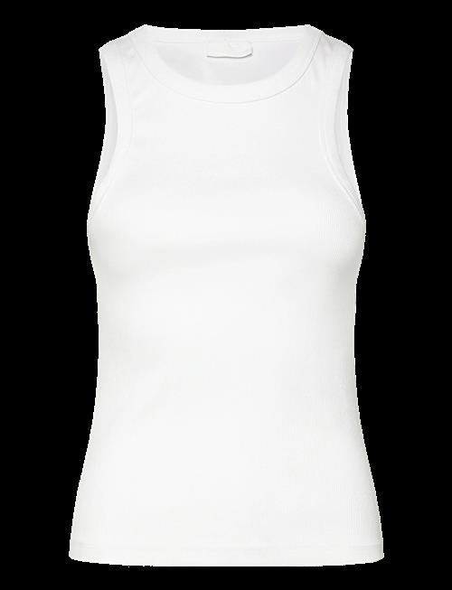 2NDDAY | 2Nd Purity Tt - Daily Cotton Rib | M
