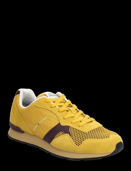 Tommy Hilfiger | Maxlite Seasonal | 43