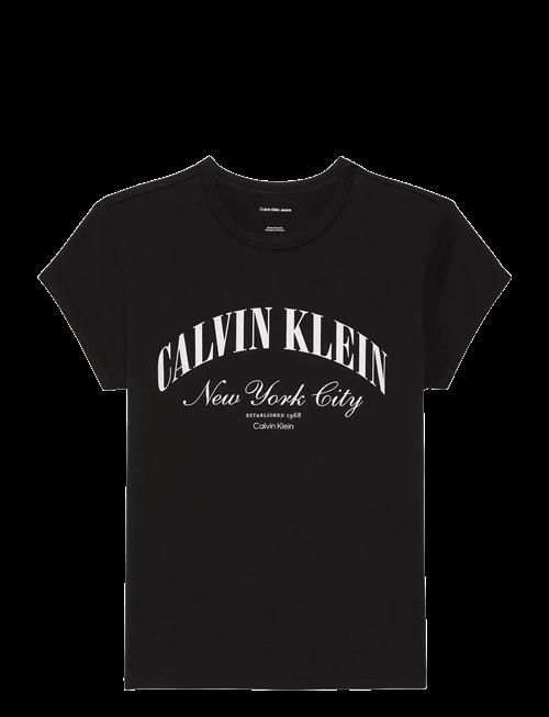 Calvin Klein Jeans | Ss Graphic Logo Baby Tee | M