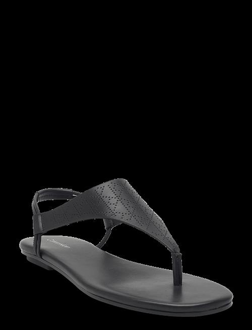 Calvin Klein | Org Flat Sndl Thong Lth Aop | 40