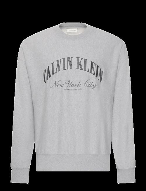 Calvin Klein Jeans | Ls Premium Terry Calvin Collegia | S