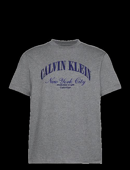 Calvin Klein Jeans | 20S March Graphic Seasonal Fashi | M