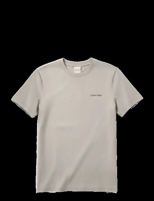 Calvin Klein | Ss Micro Logo Crewneck Tee | L