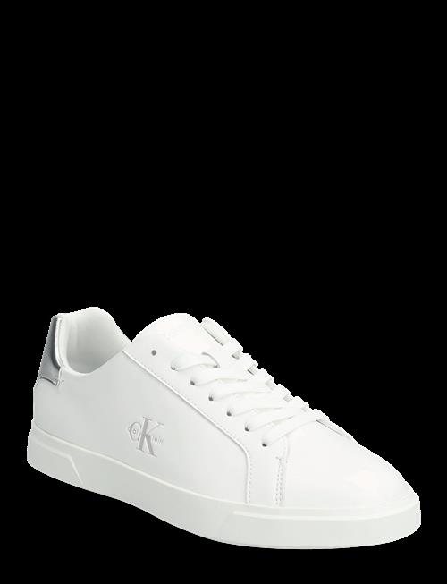 Calvin Klein | Low Pro Cups Laceup Lth Met | 42
