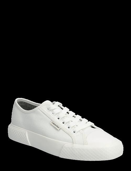 Calvin Klein | Vulc Lace Up Canvas | 39