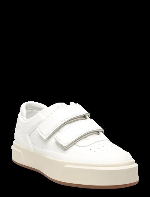 Calvin Klein | Basket Cups Velcro Lth | 39