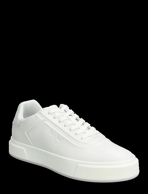 Calvin Klein | Basket Cups Oxf Lup Hf Lth | 46