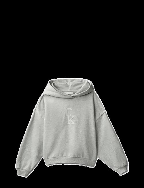 Calvin Klein | Ck Hooded Sweatshirt | 104