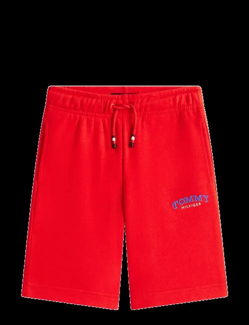 Tommy Hilfiger | Monotype Graphic Sweatshort | 116