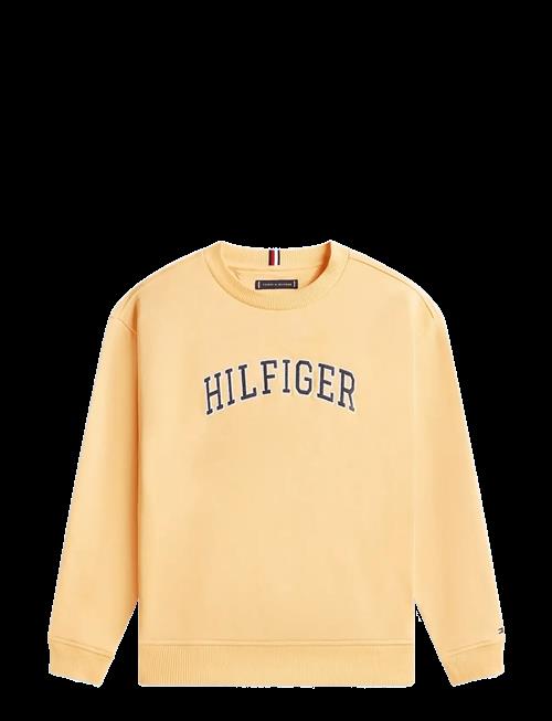 Tommy Hilfiger | Hilfiger Varsity Sweatshirt | 122