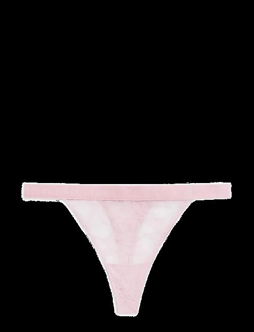 Tommy Hilfiger | Tanga Thong (Ext. Sizes) | M