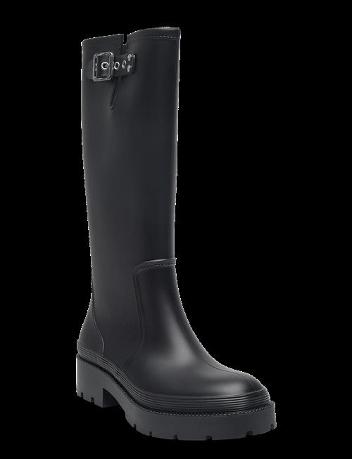 Steve Madden | Rockyh20 | 40