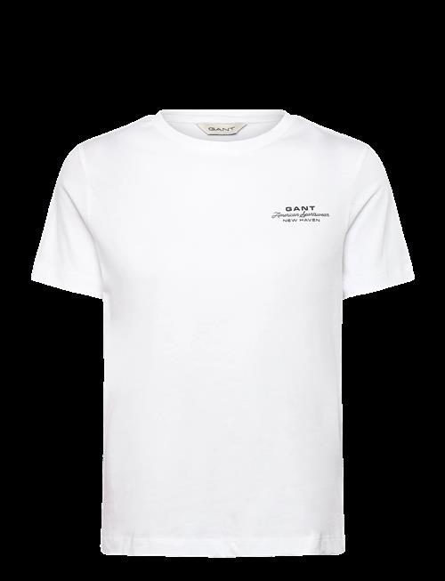 Gant | Reg Graphic Print Ss T-Shirt | XXL