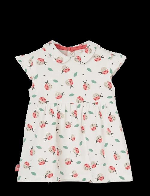 Boboli | Knit Dress Printed For Baby -Bci | 56