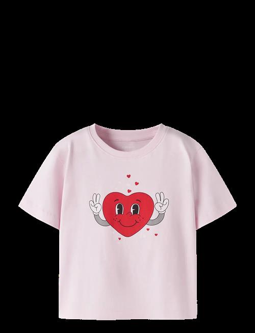 name it | Nmfbswet Ss Nreg Top Box | 86