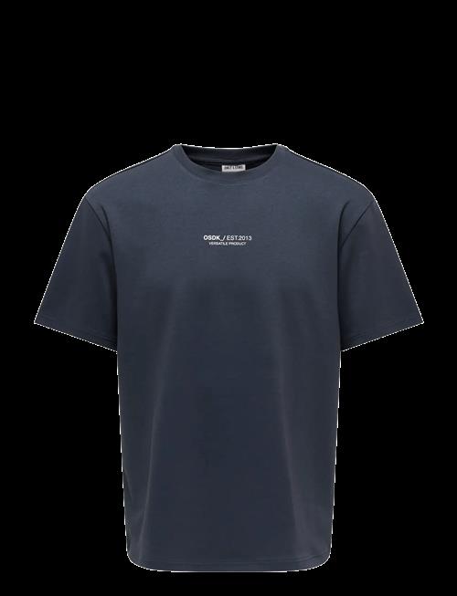 ONLY & SONS | Onscaspian Airflex Process Boxy Ss Tee | XL
