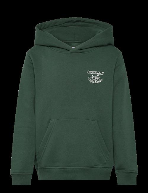 Jack & Jones | Jorniagara Typo Sweat Hood Jnr | 140