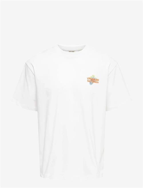 ONLY & SONS | Onsfred Life Rlx Ss Print Tee Vd | S
