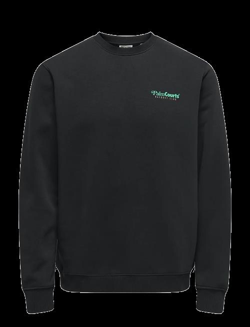 ONLY & SONS | Onsten Reg Ls Crew | S