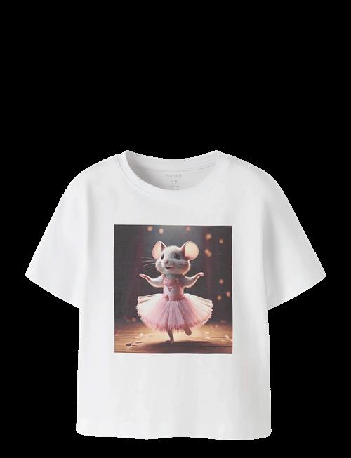name it | Nmfvotea Ss Nreg Top | 104