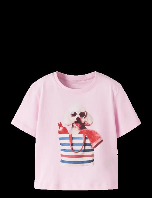 name it | Nmfvotea Ss Nreg Top | 98