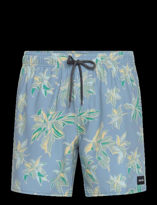 Rip Curl | Sessions Volley | S
