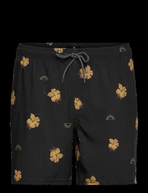 Rip Curl | Sessions Volley | XL