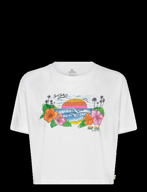 Rip Curl | Sun Rays Cropped Tee | M