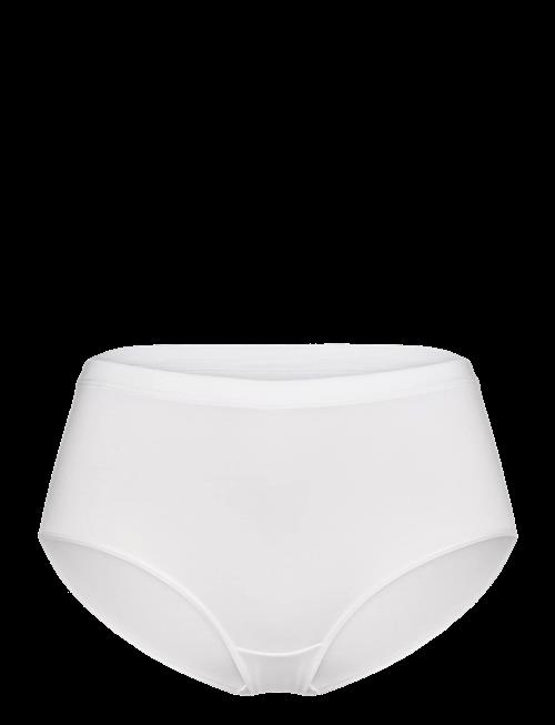 CCDK Copenhagen | Modal Maxi Brief | XS