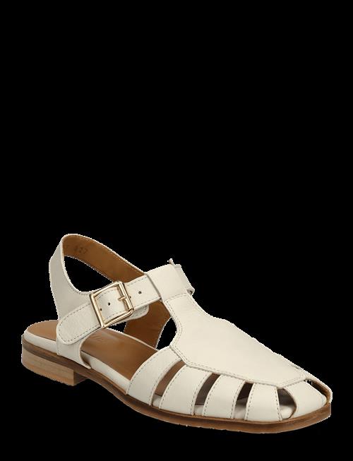 ANGULUS | Sandals - Flat  - Closed Toe - Op | 42