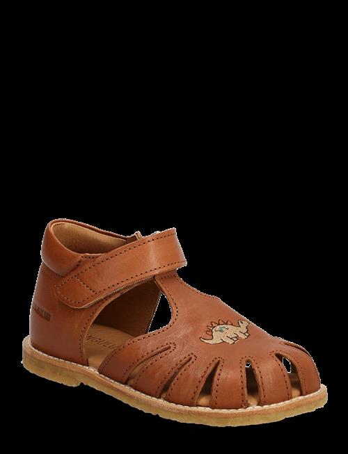 ANGULUS | Sandals - Flat  - Closed Toe | 22