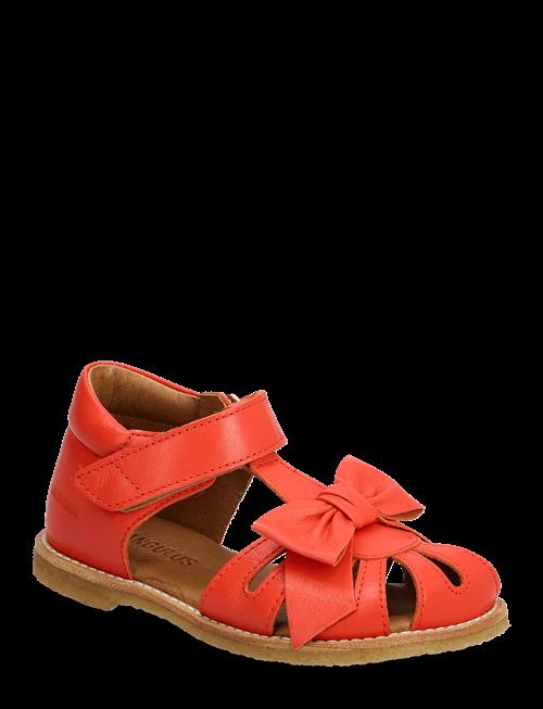 ANGULUS | Sandals - Flat  - Closed Toe | 20