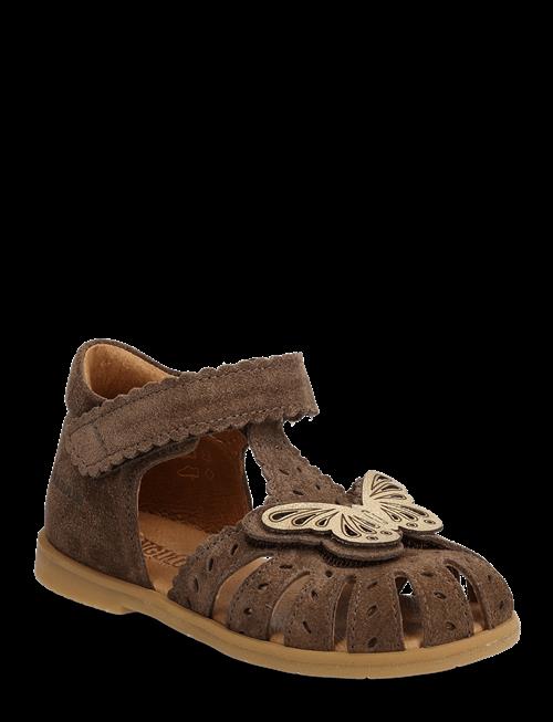 ANGULUS | Sandals - Flat  - Closed Toe | 25