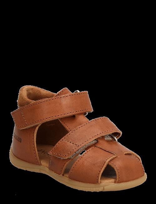 ANGULUS | Sandals - Flat  - Closed Toe | 20