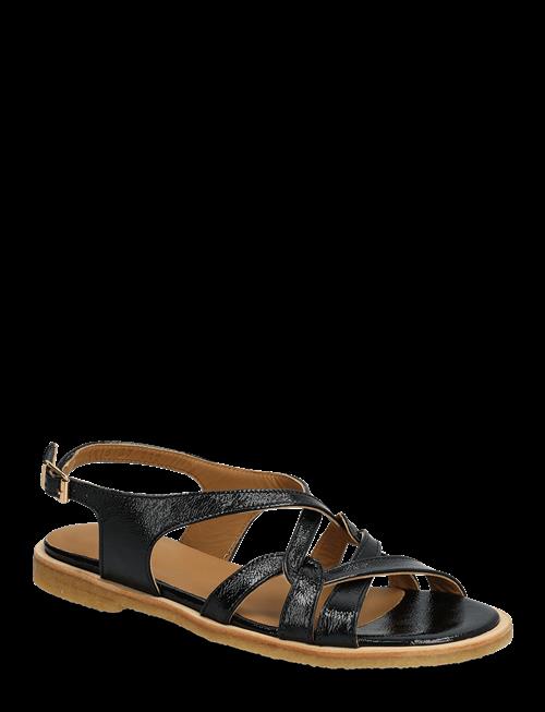 ANGULUS | Sandals - Flat | 40
