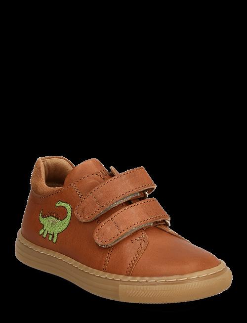 ANGULUS | Shoes - Flat - With Velcro | 23