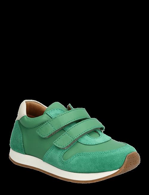 ANGULUS | Shoes - Flat - With Velcro | 24