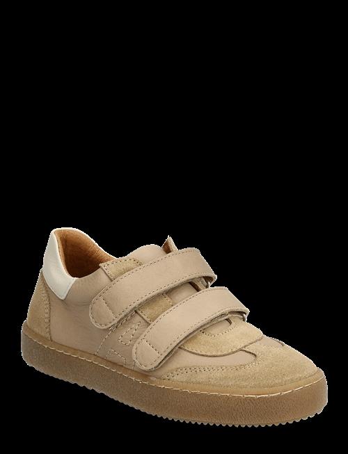 ANGULUS | Shoes - Flat - With Velcro | 31