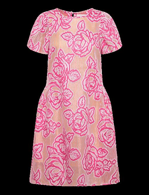 Naja Lauf | Nomi Dress Blind Rose | 36